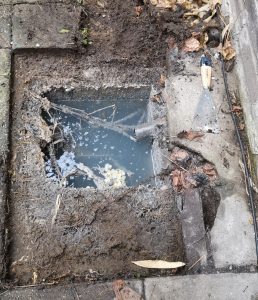 Hemelwaterafvoer Verstopt