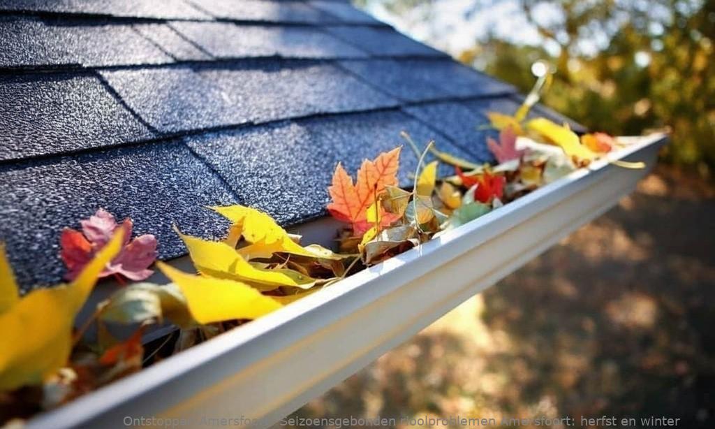 Seizoensgebonden rioolproblemen Amersfoort: herfst en winter